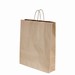 Bag Paper Twist Handle #180 Brown 250ctn