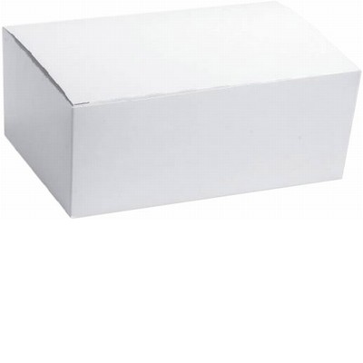 Snack Box Plain - Small 250/ctn
