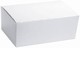 Snack Box Plain - Large 250/ctn