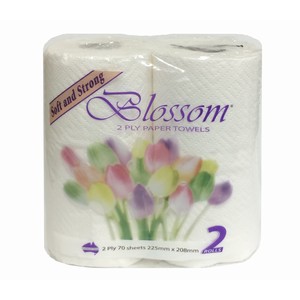 KT-227 Blossom 2ply Kitchen Towel 2pk